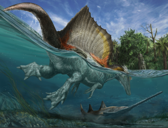 An artist’s rendering of spinosaurus and the river ecosystem that existed 100 million years ago in what is now the Sahara Desert. Artwork: Davide Bonadonna, advised by Nizar Ibrahim and Simone Maganuco.