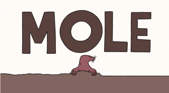 Mole day