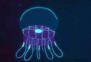 Jellyfish TEDEdBlog image