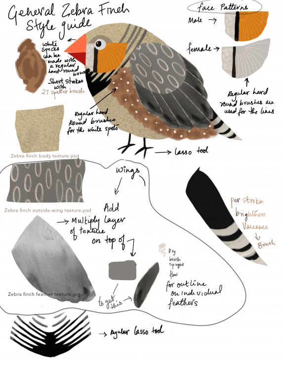 Style guide for the zebra finch character. Art by Tara Sunil Thomas.